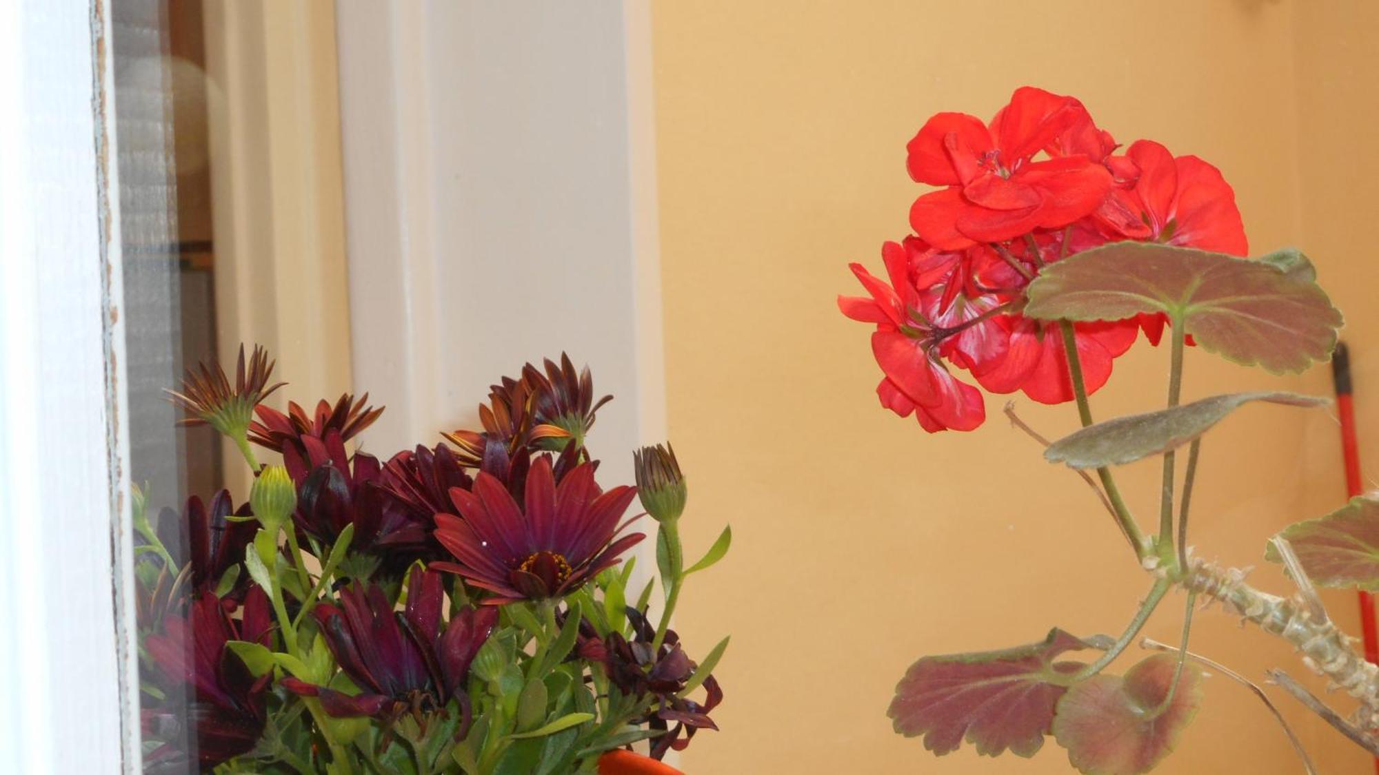 Elegant And Comfortable Apartment In The City Center Ermúpoli Kültér fotó